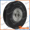 Poulie damper vilebrequin pour RENAULT | RKP-RE-001, 1001